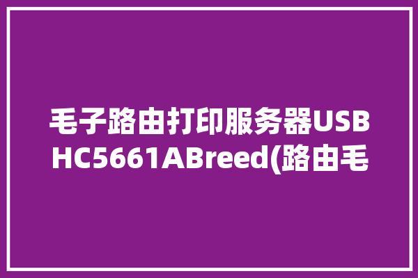 毛子路由打印服务器USBHC5661ABreed(路由毛子路由器打印服务器固件)「毛子路由固件官网」