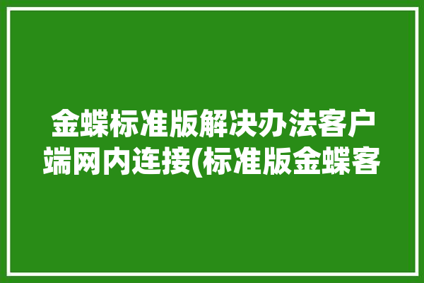 金蝶标准版解决办法客户端网内连接(标准版金蝶客户端解决办法安装)