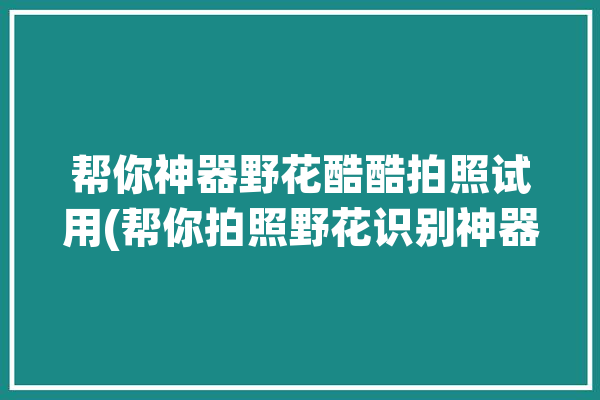 帮你神器野花酷酷拍照试用(帮你拍照野花识别神器)「拍个野花香的照片」