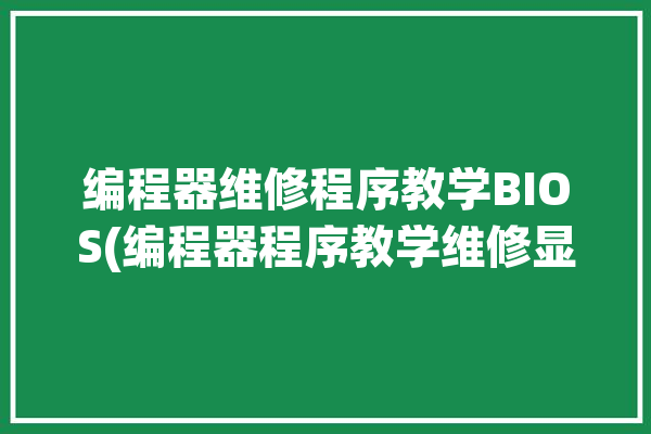 编程器维修程序教学BIOS(编程器程序教学维修显卡)