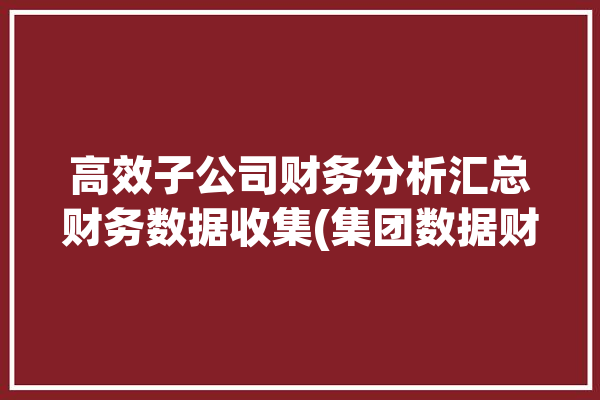 高效子公司财务分析汇总财务数据收集(集团数据财务分析资金汇总)