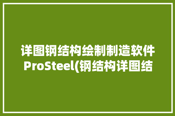 详图钢结构绘制制造软件ProSteel(钢结构详图结点绘制模型)