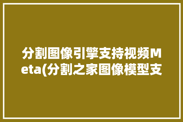 分割图像引擎支持视频Meta(分割之家图像模型支持)「图像分割器」