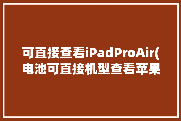 可直接查看iPadProAir(电池可直接机型查看苹果)「ipad pro查电池」