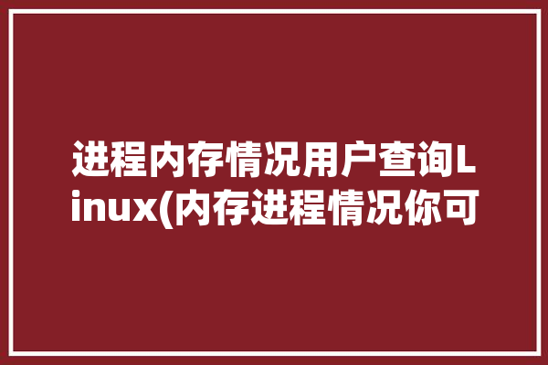 进程内存情况用户查询Linux(内存进程情况你可以输出)「linux进程内存查看」