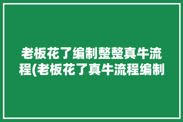 老板花了编制整整真牛流程(老板花了真牛流程编制)