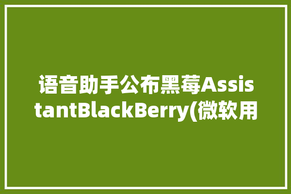 语音助手公布黑莓AssistantBlackBerry(微软用户语音的是黑莓)「黑莓手机语音助手」