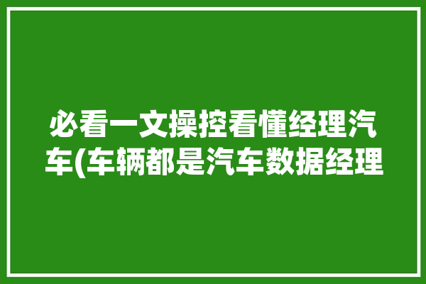 必看一文操控看懂经理汽车(车辆都是汽车数据经理)「汽车经理人是什么意思」