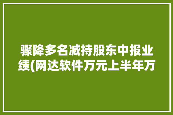 骤降多名减持股东中报业绩(网达软件万元上半年万股)「网达软件股票怎么了」