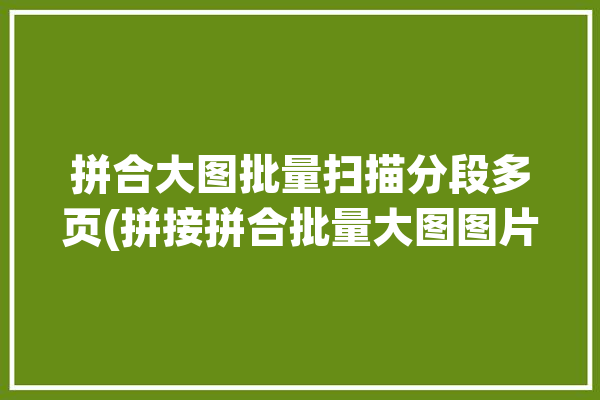 拼合大图批量扫描分段多页(拼接拼合批量大图图片)「批量拼图打印」