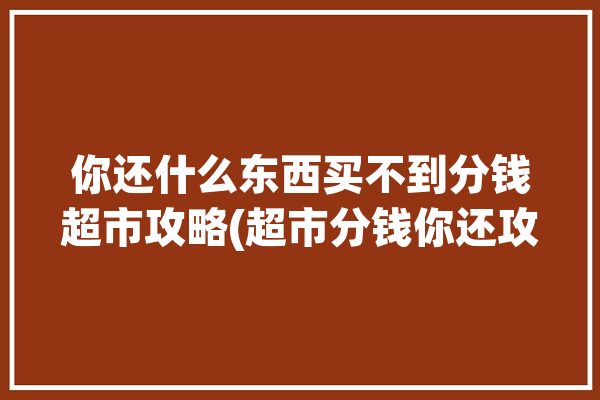 你还什么东西买不到分钱超市攻略(超市分钱你还攻略什么东西)