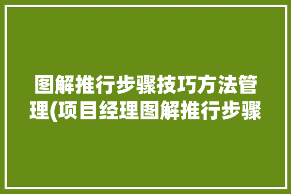 图解推行步骤技巧方法管理(项目经理图解推行步骤技巧)「图推思路」