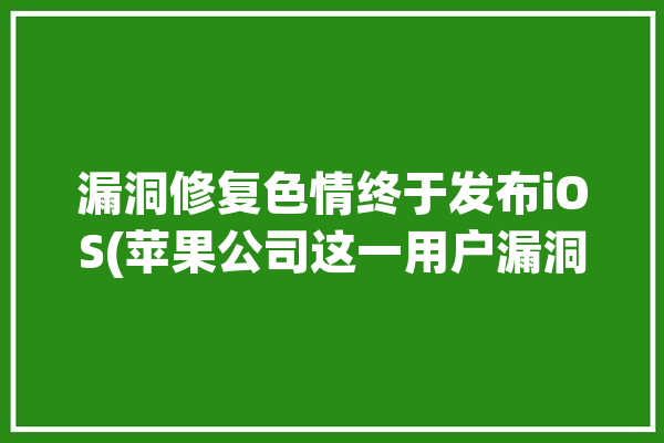 漏洞修复色情终于发布iOS(苹果公司这一用户漏洞修复)「iphone漏洞修复」