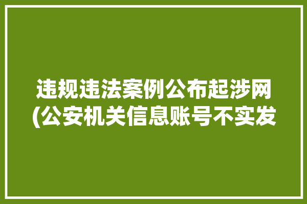 违规违法案例公布起涉网(公安机关信息账号不实发布)「公安信息网违规行为」