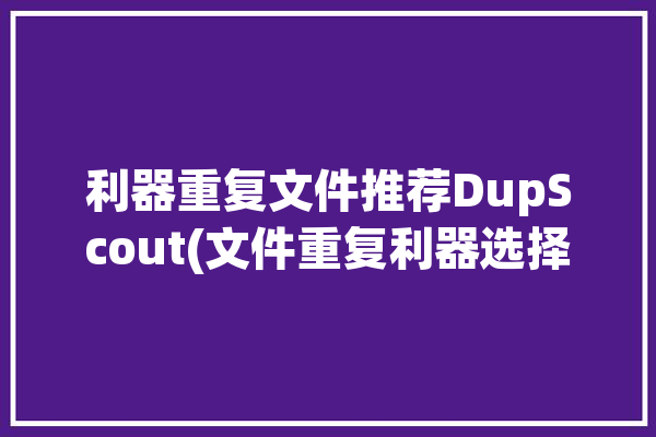 利器重复文件推荐DupScout(文件重复利器选择点击)「重复文件软件」