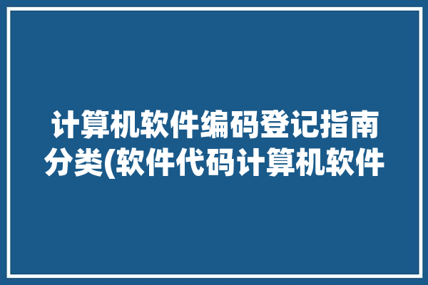 计算机软件编码登记指南分类(软件代码计算机软件软件分类制造业)