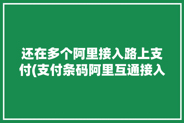 还在多个阿里接入路上支付(支付条码阿里互通接入)「阿里支付接口」