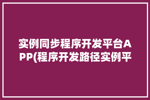 实例同步程序开发平台APP(程序开发路径实例平台)「同步程序怎么写」