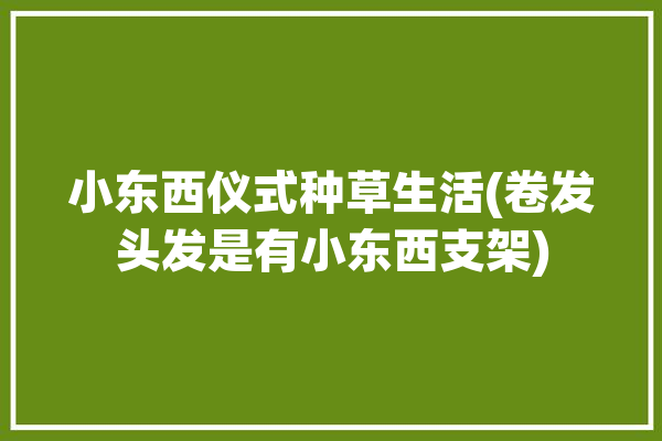 小东西仪式种草生活(卷发头发是有小东西支架)