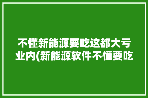 不懂新能源要吃这都大亏业内(新能源软件不懂要吃大亏)「新能源 软件」