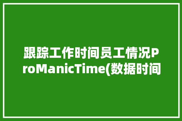 跟踪工作时间员工情况ProManicTime(数据时间用户报告活动)「员工工作跟踪表怎么写」