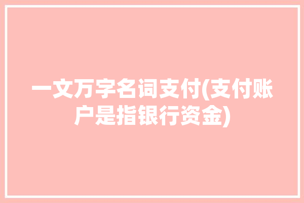 一文万字名词支付(支付账户是指银行资金)「支付账户指什么」