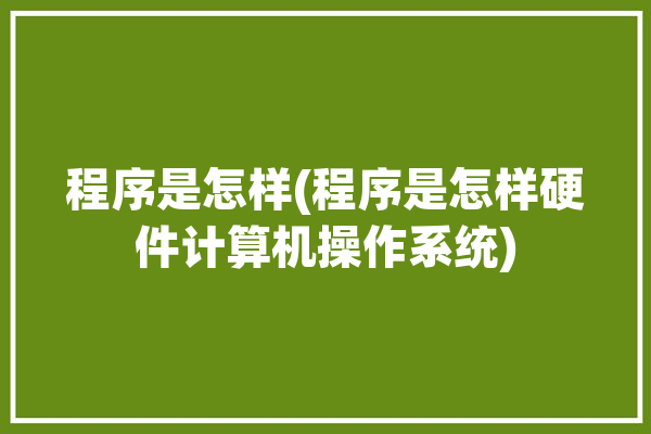 程序是怎样(程序是怎样硬件计算机操作系统)「程序是怎样的」