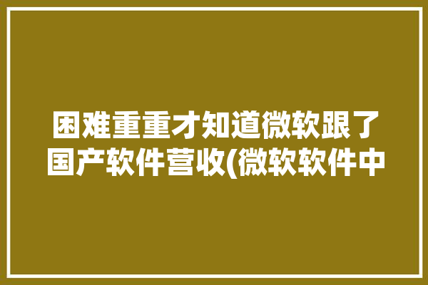 困难重重才知道微软跟了国产软件营收(微软软件中国市场用户营收)