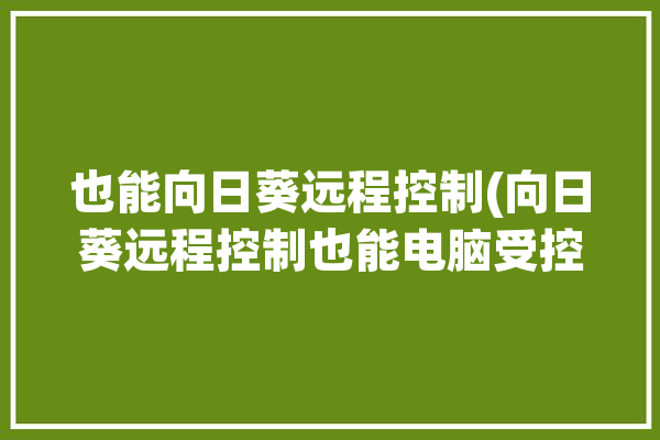 也能向日葵远程控制(向日葵远程控制也能电脑受控)「向日葵远程控制可以控制电脑吗」