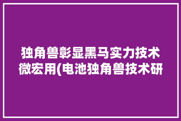 独角兽彰显黑马实力技术微宏用(电池独角兽技术研发锂电池)「创新药独角兽微芯生物」