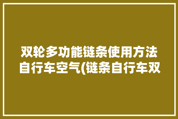 双轮多功能链条使用方法自行车空气(链条自行车双轮革新多功能)