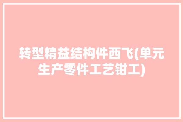 转型精益结构件西飞(单元生产零件工艺钳工)「西飞结构件厂」