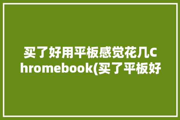 买了好用平板感觉花几Chromebook(买了平板好用感觉花几)「平板值得买吗知乎」