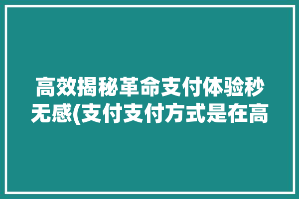 高效揭秘革命支付体验秒无感(支付支付方式是在高效叫我)「支付革命电子书」