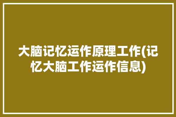 大脑记忆运作原理工作(记忆大脑工作运作信息)