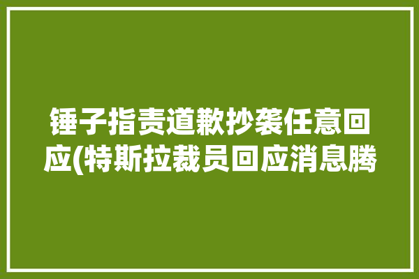 锤子指责道歉抄袭任意回应(特斯拉裁员回应消息腾讯)「锤子和特斯拉」