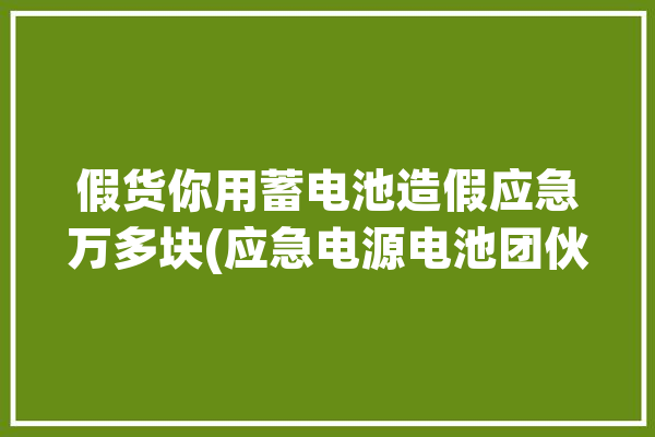 假货你用蓄电池造假应急万多块(应急电源电池团伙假冒)「应急电池原理」