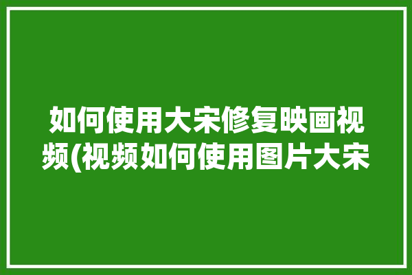 如何使用大宋修复映画视频(视频如何使用图片大宋修复)