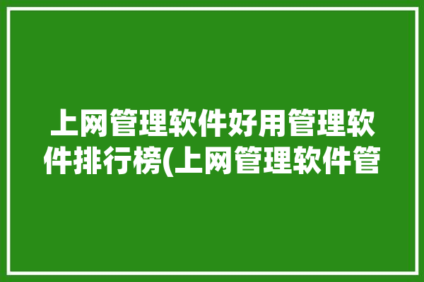 上网管理软件好用管理软件排行榜(上网管理软件管理企业好用)