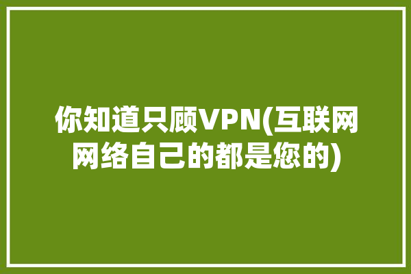 你知道只顾VPN(互联网网络自己的都是您的)