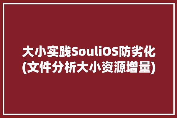 大小实践SouliOS防劣化(文件分析大小资源增量)