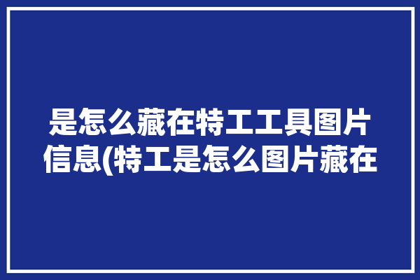 是怎么藏在特工工具图片信息(特工是怎么图片藏在工具)「特工技巧藏东西」