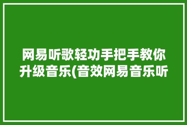 网易听歌轻功手把手教你升级音乐(音效网易音乐听歌轻功)「网易听纯音乐用什么音效」