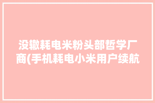 没辙耗电米粉头部哲学厂商(手机耗电小米用户续航)「miui耗电排行」