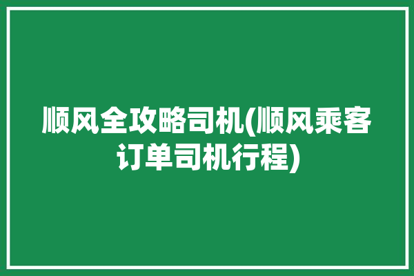 顺风全攻略司机(顺风乘客订单司机行程)「顺风出行怎么样」