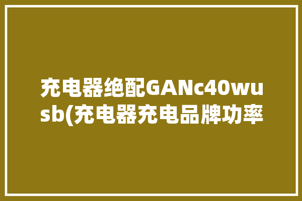 充电器绝配GANc40wusb(充电器充电品牌功率产品)「gan充电器推荐」