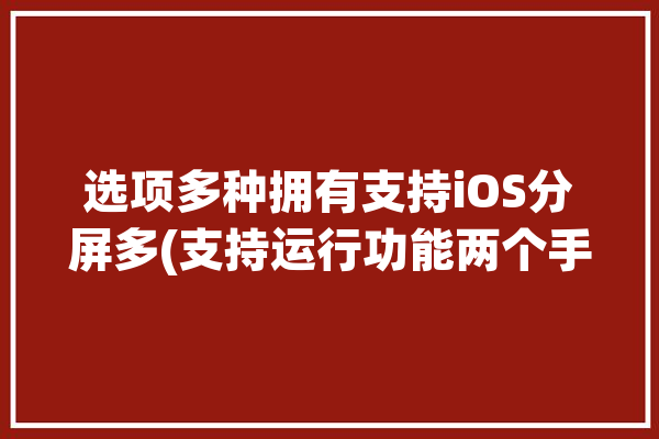 选项多种拥有支持iOS分屏多(支持运行功能两个手机)