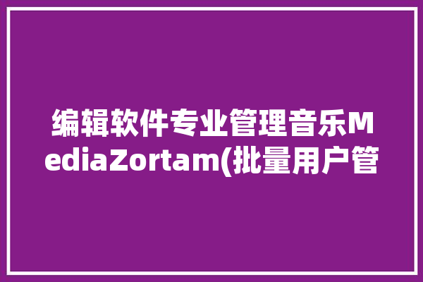 编辑软件专业管理音乐MediaZortam(批量用户管理功能标签)「音乐信息批量修改器」