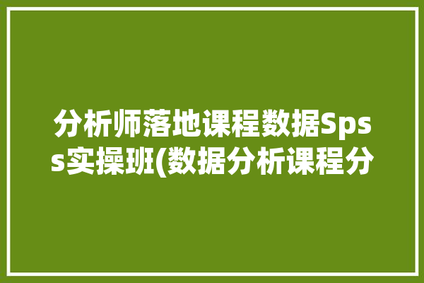 分析师落地课程数据Spss实操班(数据分析课程分析师起飞)「spss 数据分析师 培训」