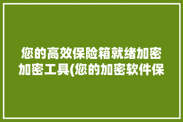 您的高效保险箱就绪加密加密工具(您的加密软件保险箱高效)「你的保险柜」